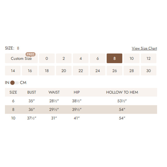 AW BRIDAL SZ 6 s cream Carmelita tulle embroidered floral maxi dress NWT B126 - Picture 8 of 8